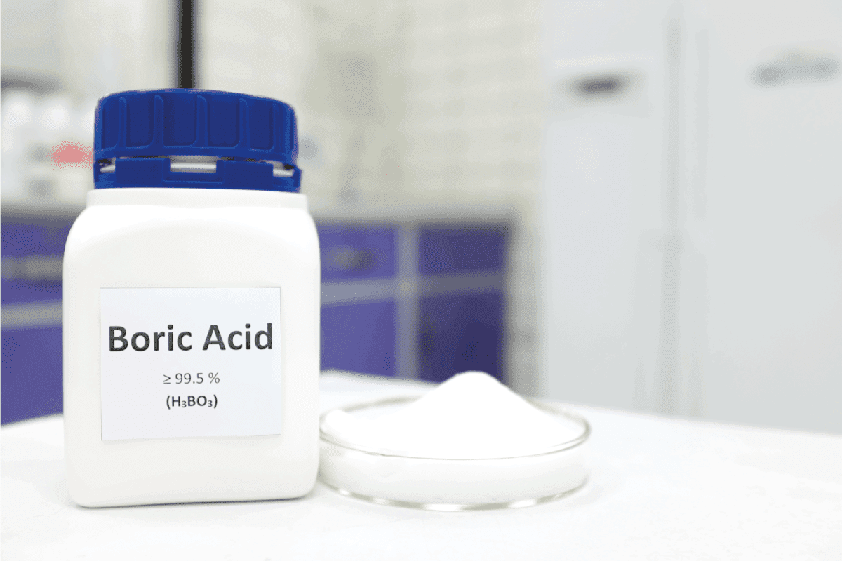 bottle of pure boric acid chemical compound beside a petri dish with solid crystalline powder substance