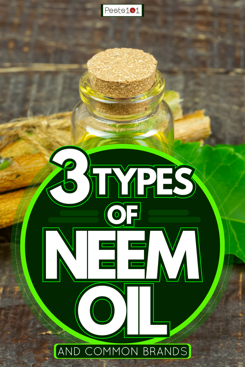 Neem oil in bottle and neem leaf with twig on wooden background, 3 Types Of Neem Oil [And Common Brands]