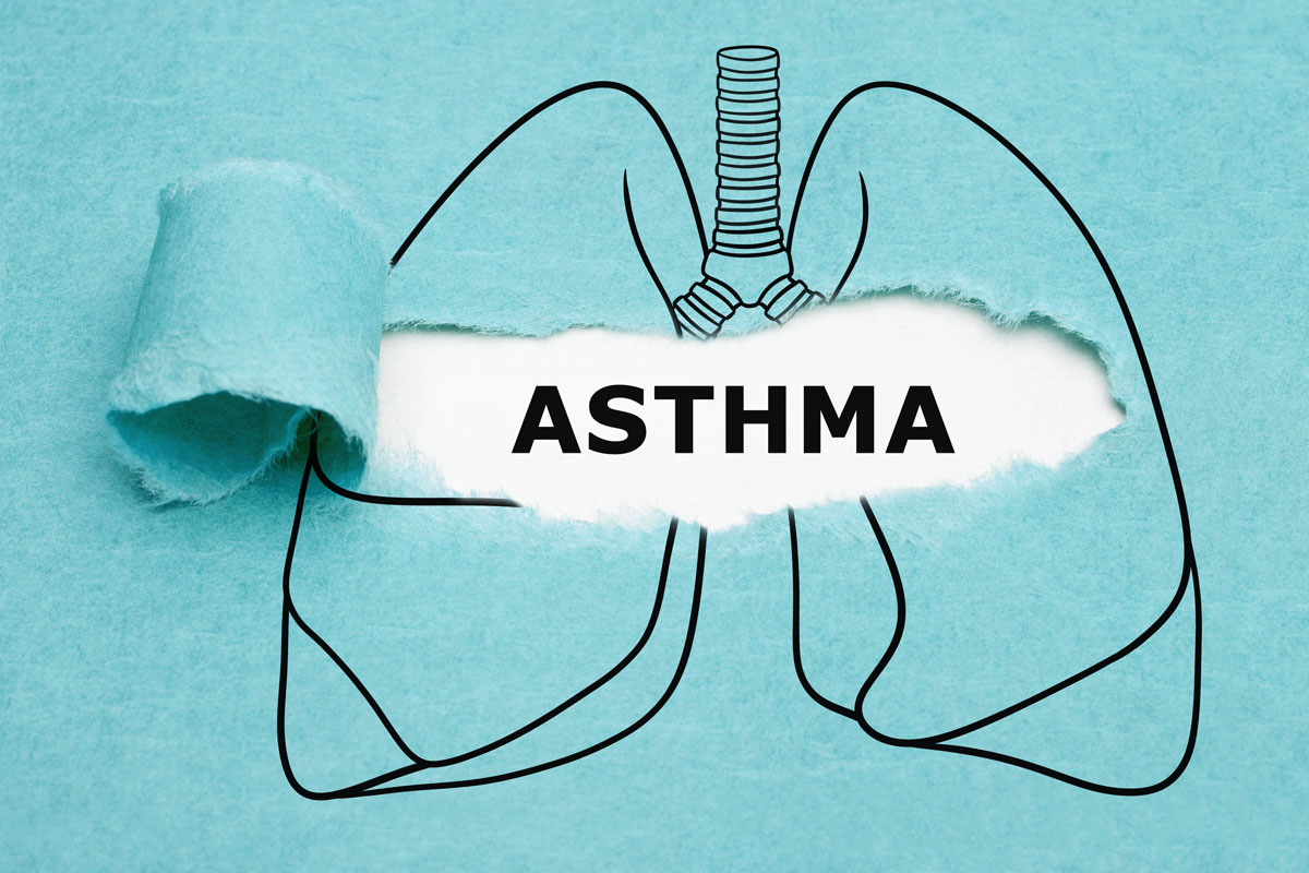 Asthma and lungs illustration