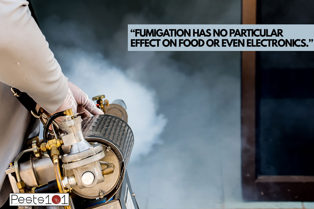 House fumigation kill different kinds of insects, Can Fumigation Damage Electronics?