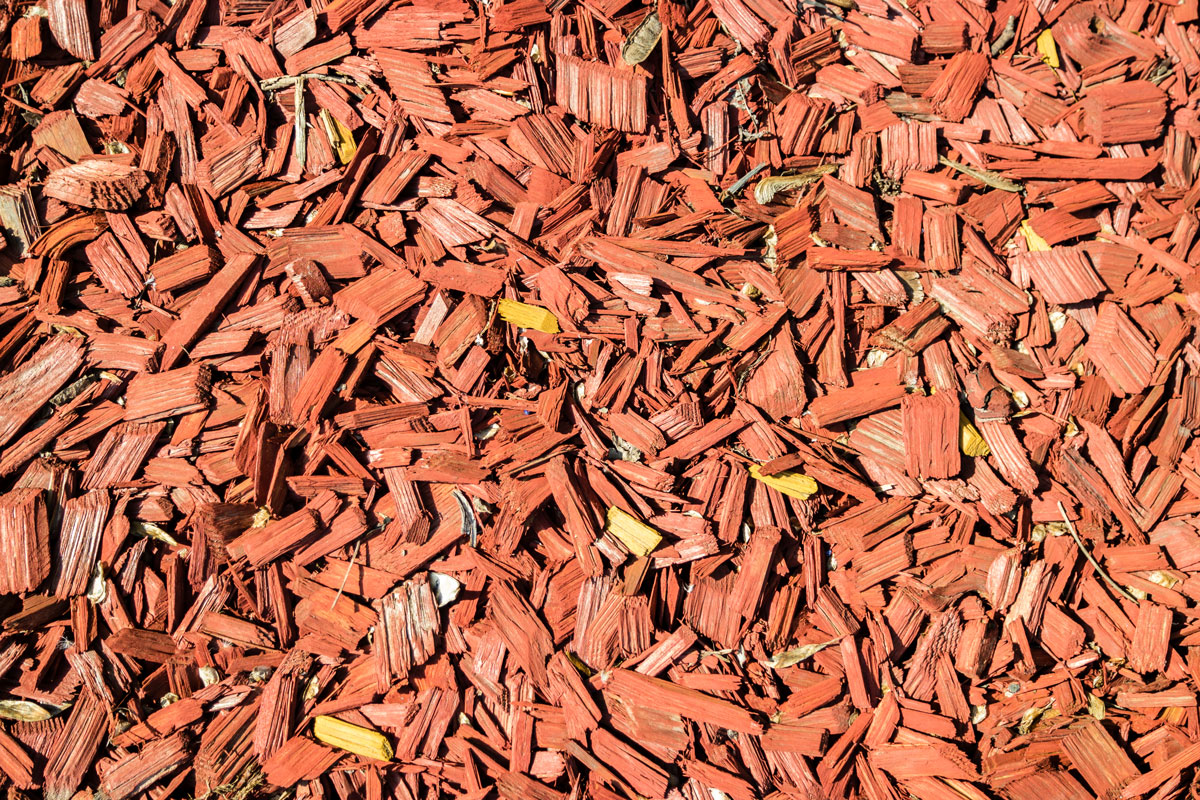 Cedar mulch perfect for garden fertilizer