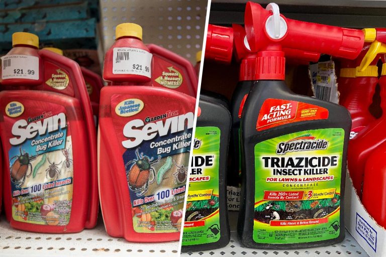 Comparison between seven and spectracide insecticide, Sevin Vs. Spectracide: Which To Choose?