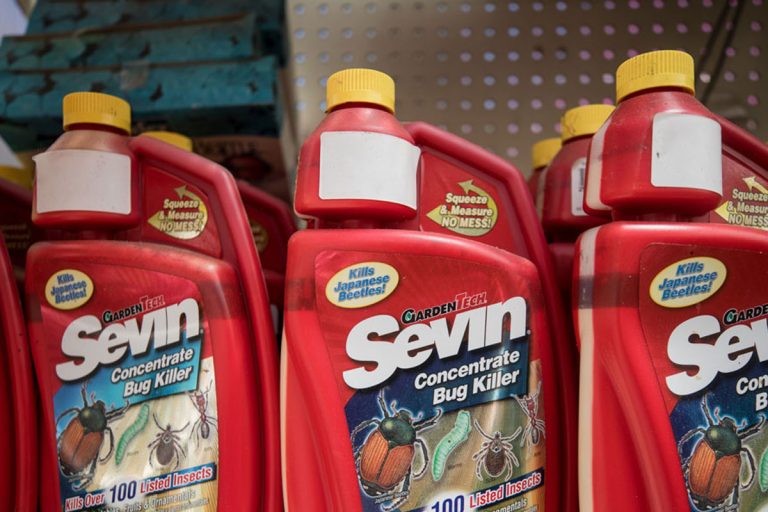 Containers of Sevin bug killers at a mall shelf, How Long Does Sevin Dust Last?