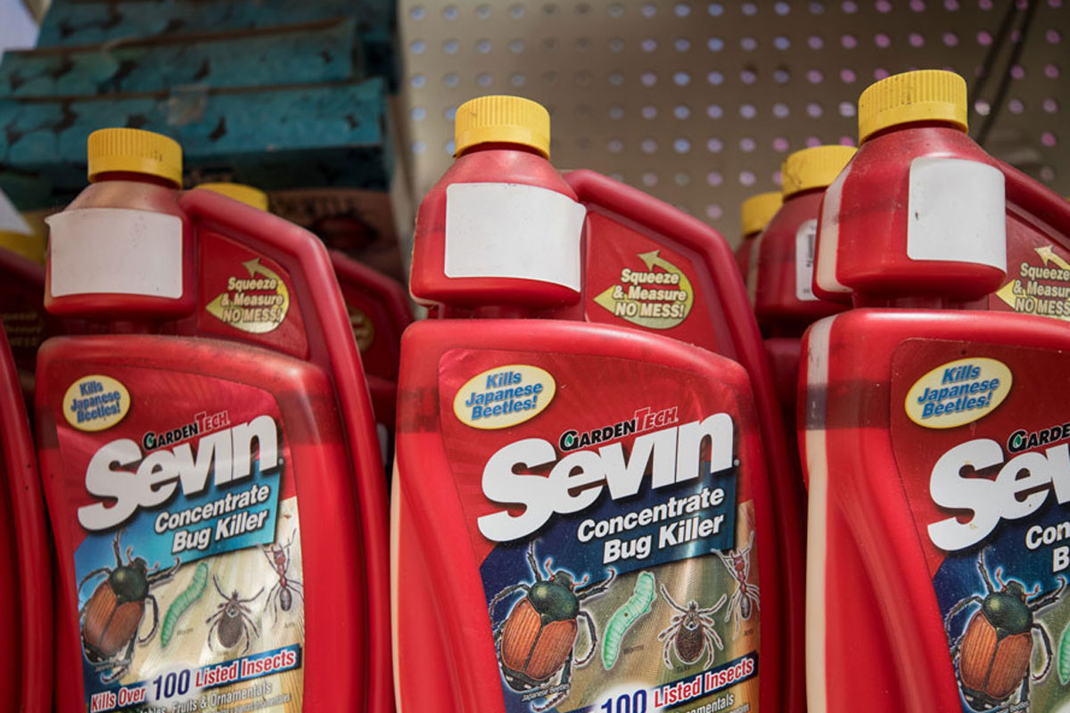 Containers of Sevin bug killers at a mall shelf