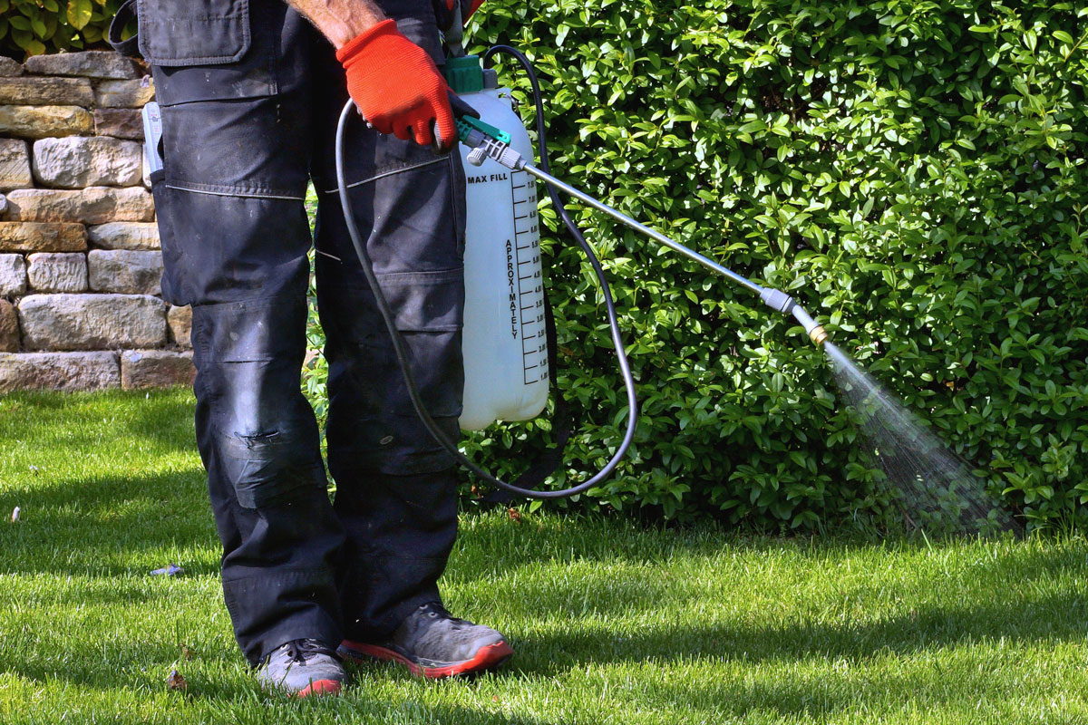 Garden technician spraying pesticide