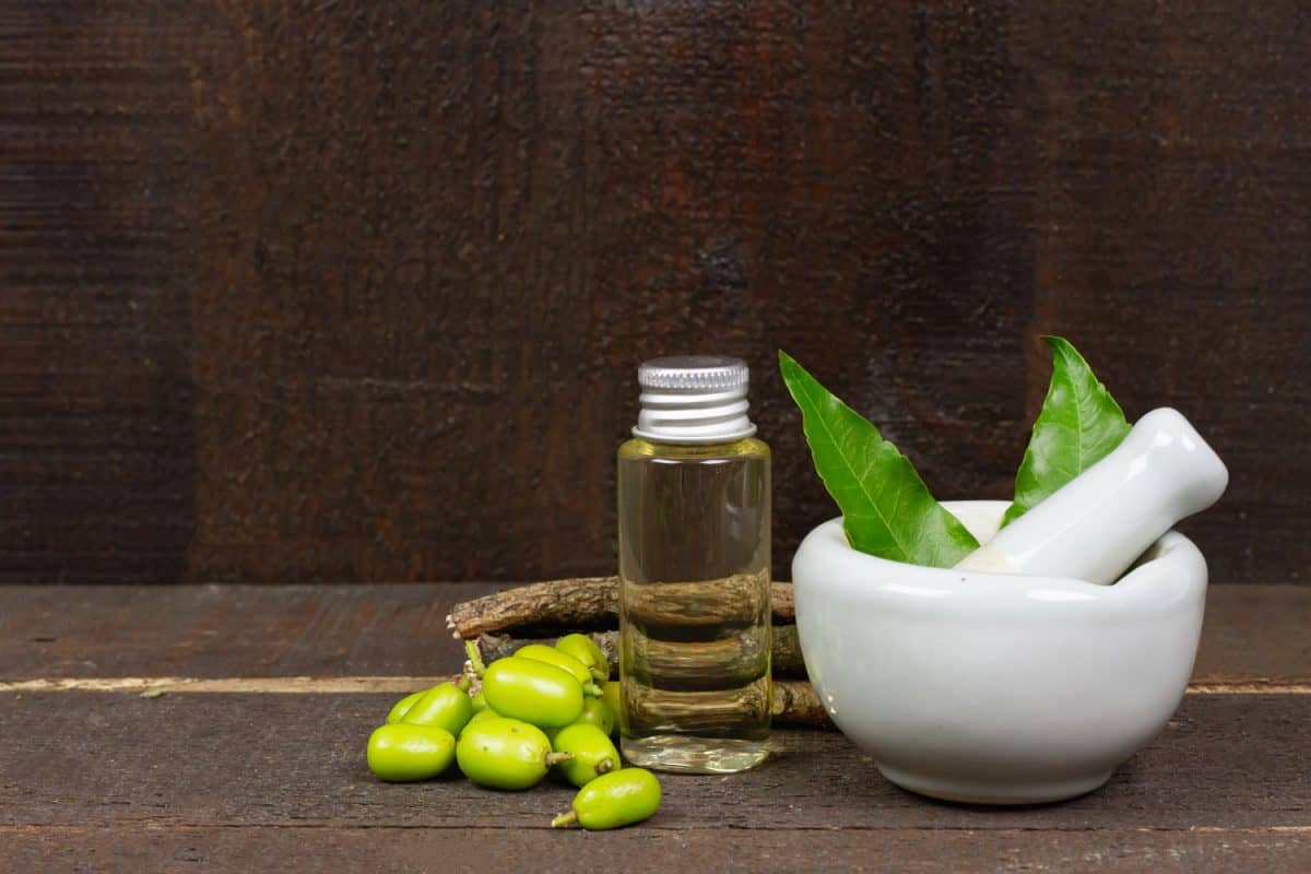 Neem oil in bottle and Neem leaf in mortar and pestle white ceramic with stick and fruit on wooden background.