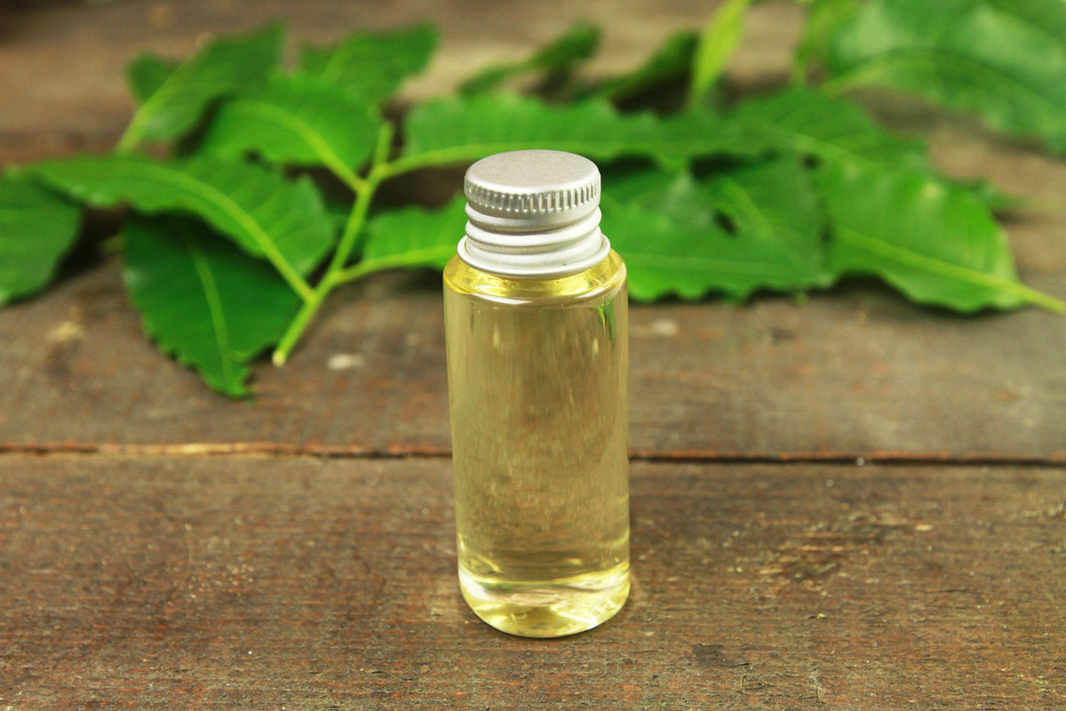 Neem oil in bottle and neem leaf on wooden table