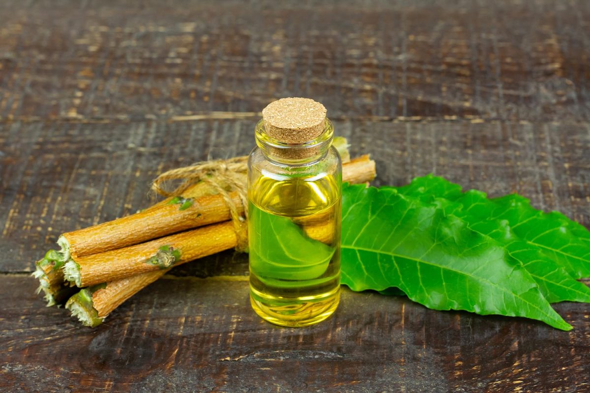 Neem oil in bottle and neem leaf with twig