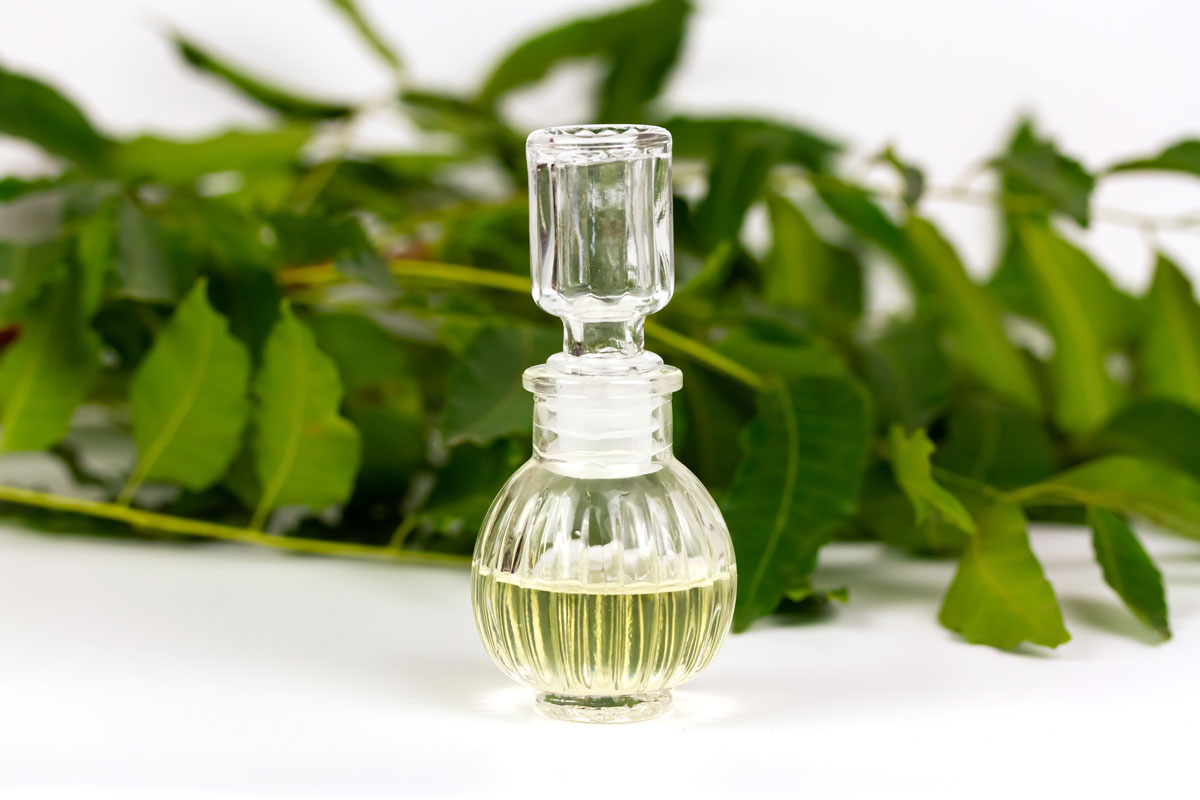 Neem oil in bottle and neem leaf