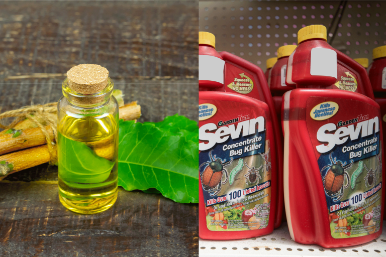 A collaged photo of Neem oil and Sevin bug killer, Sevin Vs. Neem Oil: Which To Choose?