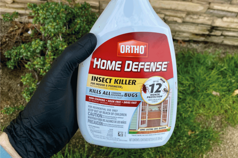 man wearing rubber gloves and holding close to camera a spray bottle of insect killer. Does Ortho Home Defense Kill Springtails