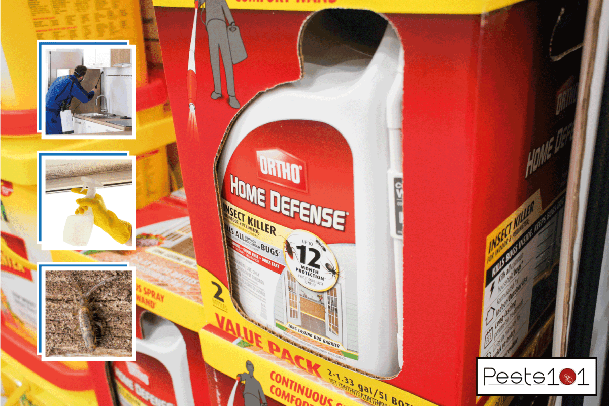 Several containers of Ortho Home Defense Insect Killer product on display at a local big box grocery store. 