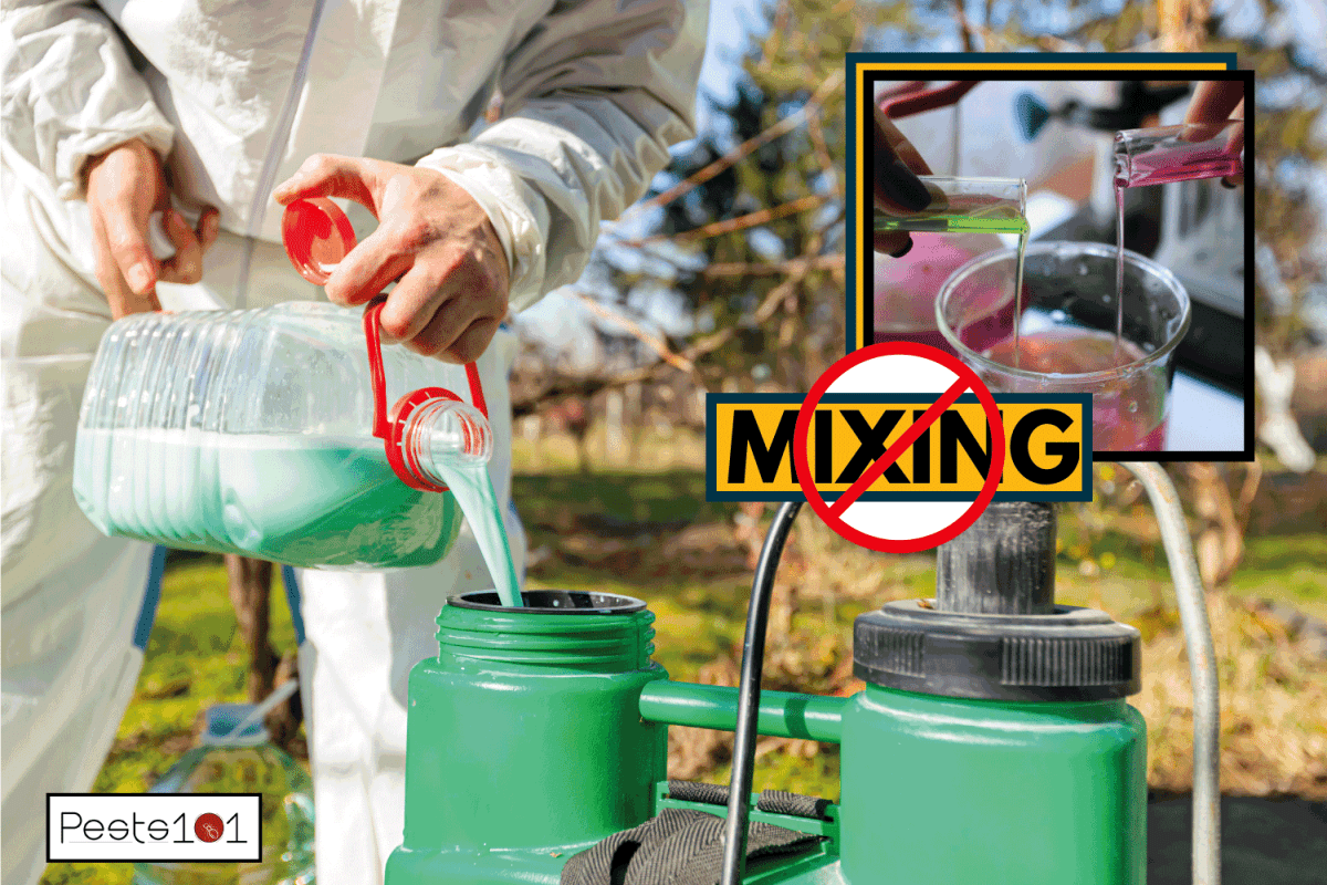 Farmer is preparing mixture of water and botanical solutions of pesticide in plastic knapsack sprayer. mixes colored liquid substances with different densities. Can You Mix Bt And Spinosad