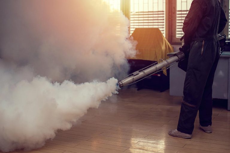 Man fogging to eliminate pest in the home, Can You Fumigate For Silverfish?