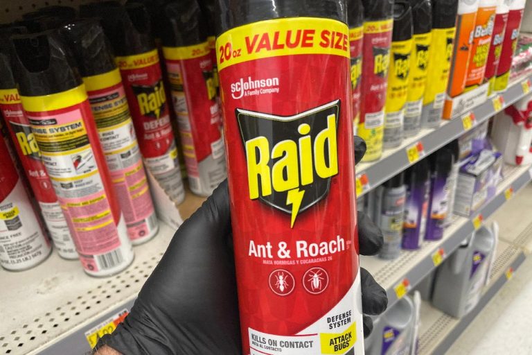 A man holding raid spray in the store, Does Raid Kill Stink Bugs?