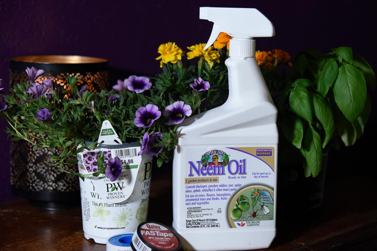 Neem Oil spray bottle and plants
