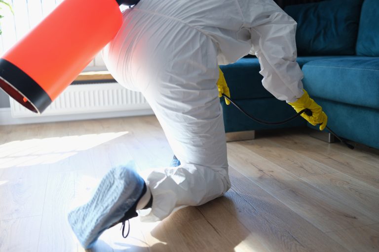Person in hazmat suit disinfects living room with spray gun. Prevention of spread of diseases. Sanitary processing of premises - How Long Does Flea Fumigation Take