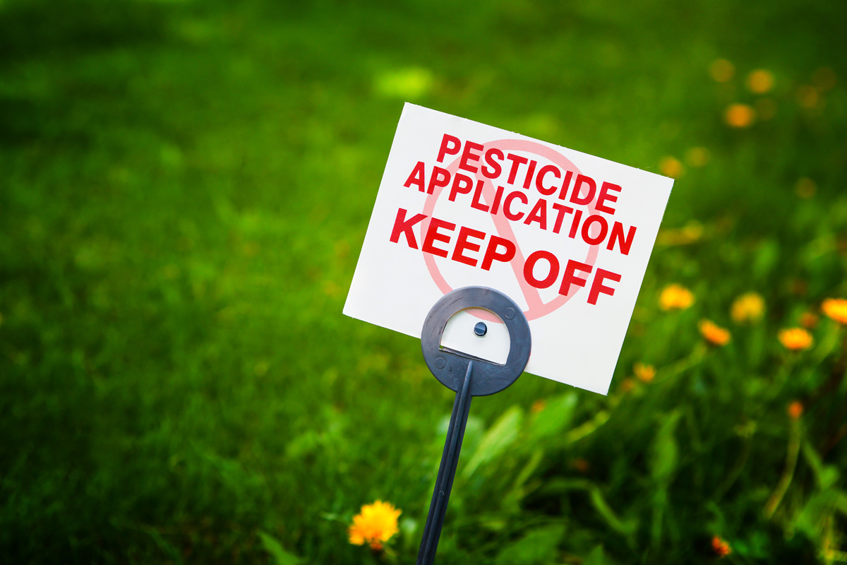 Pesticide application sign with treated grass and dandelion weeds