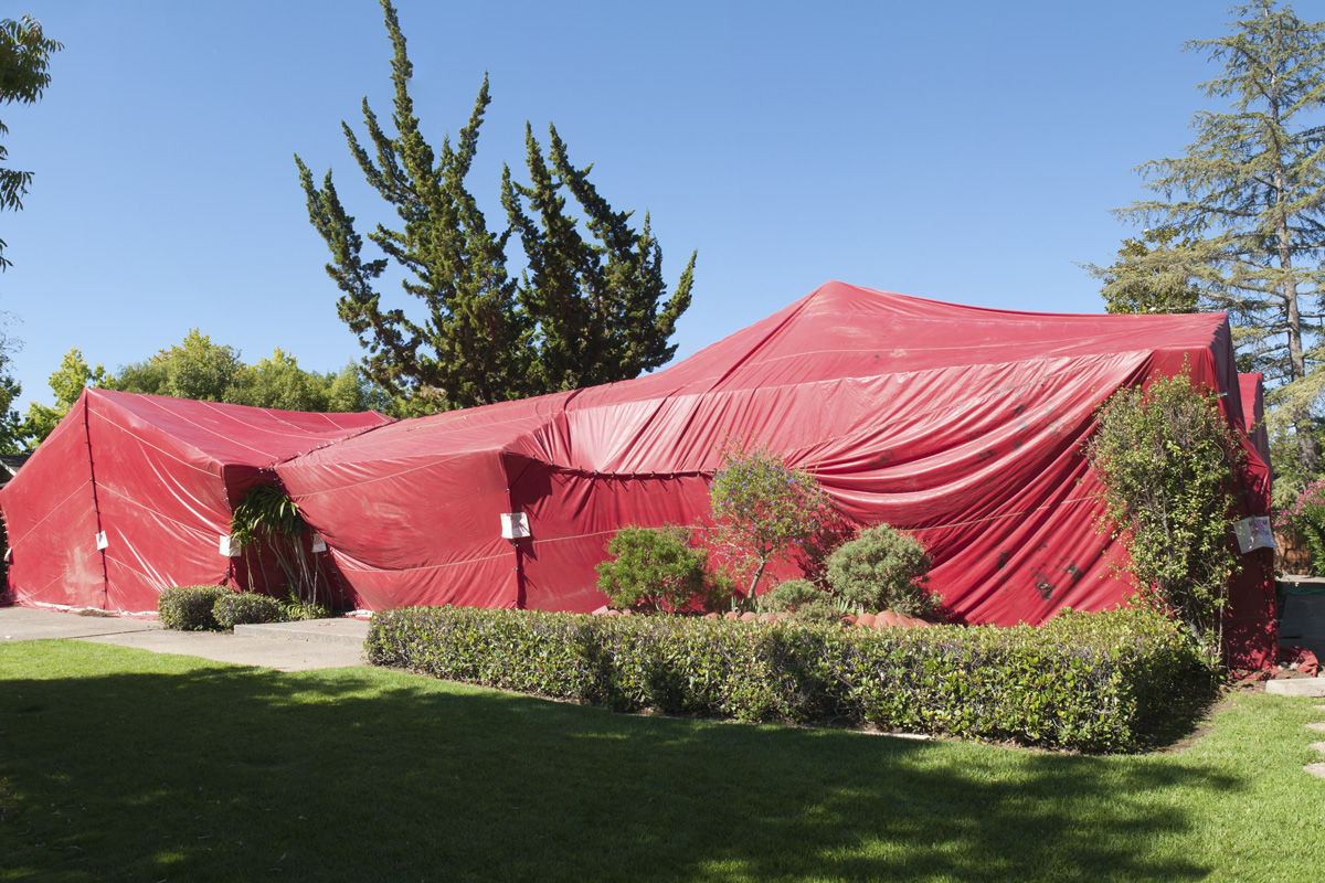 Residential home covered with a tent for termite fumigation