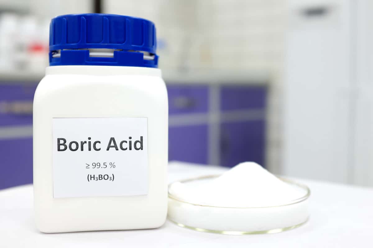 Selective focus of a bottle of pure boric acid chemical compound beside a petri dish with solid crystalline powder substance. White Chemistry laboratory background with copy space.