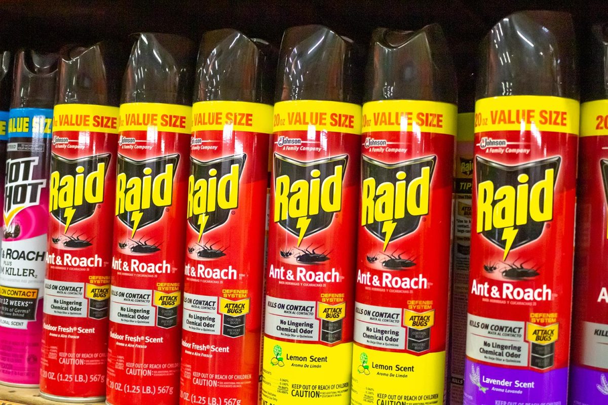 Several cans of Raid insect killer