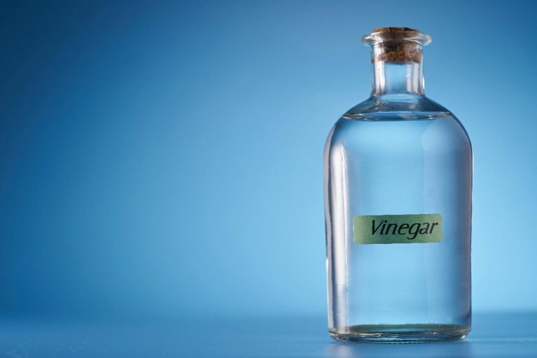 White vinegar on bottle, Does Vinegar Kill Earwigs?